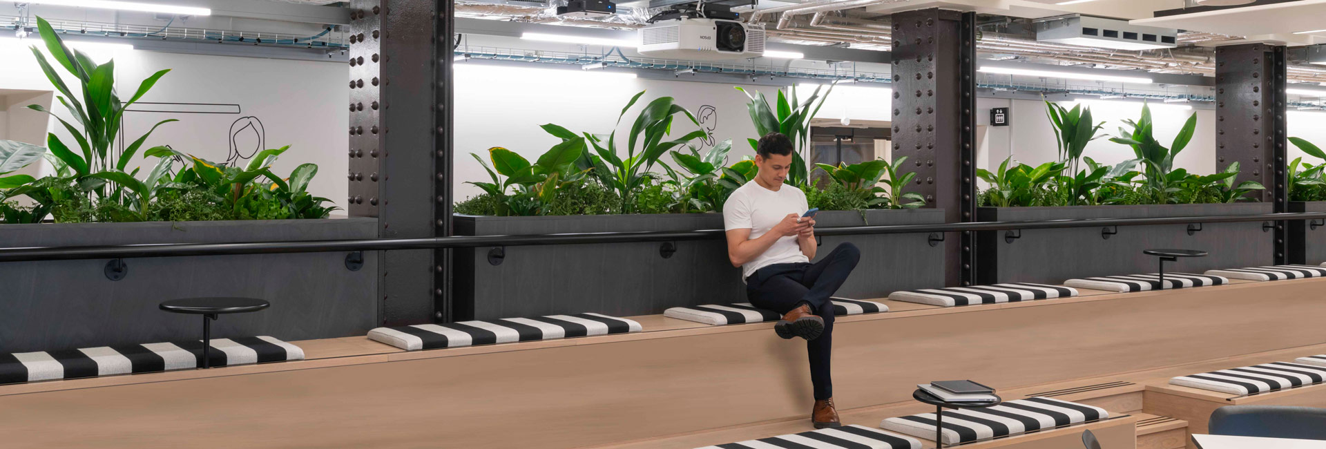 A man sitting on a bench in Page Group's London office surrounded by lush green plants, creating a serene and natural atmosphere.
