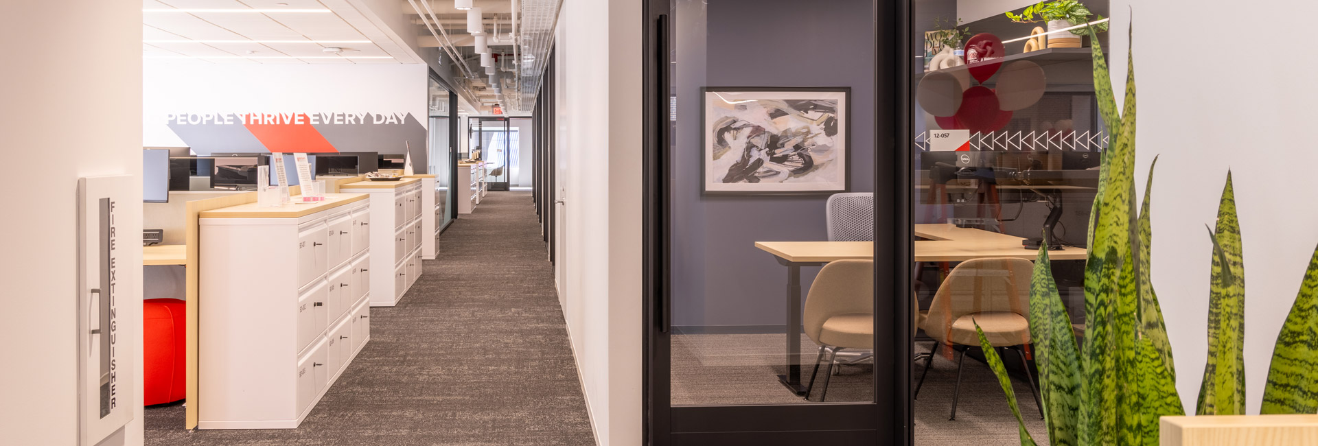 An office space featuring a green plant in the corner, adding a touch of nature to the work environment.