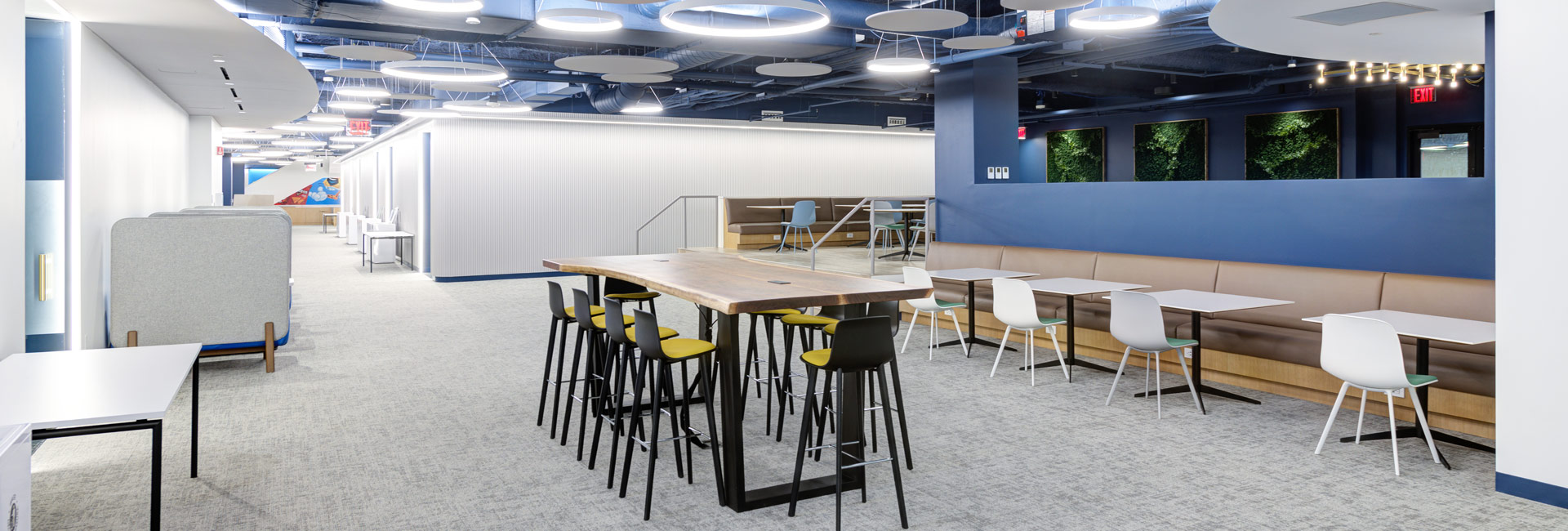 An office featuring blue walls and bright yellow chairs, creating a vibrant and inviting workspace atmosphere.