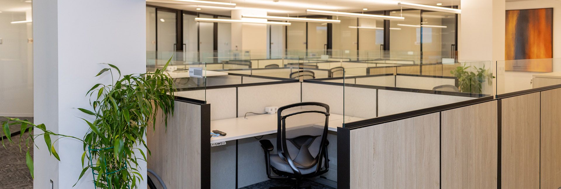 3000 Atrium Way office desk with black chairs, plants, and wood accent cubicles