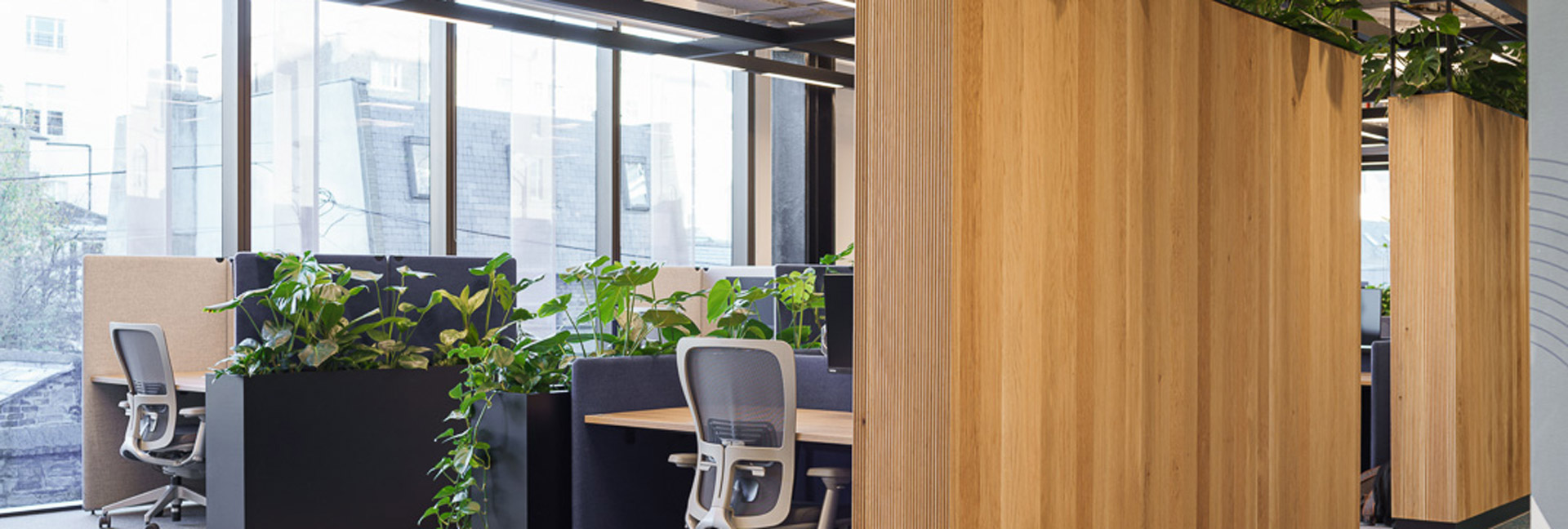 A modern office featuring wooden walls and various indoor plants, creating a warm and inviting atmosphere.