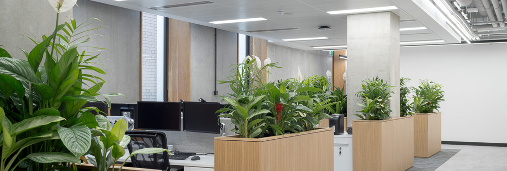 Desks and breakout areas.