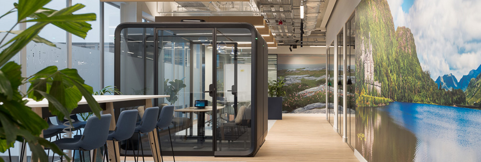 An office featuring a large glass meeting room and a prominent indoor plant, creating a bright and inviting workspace.