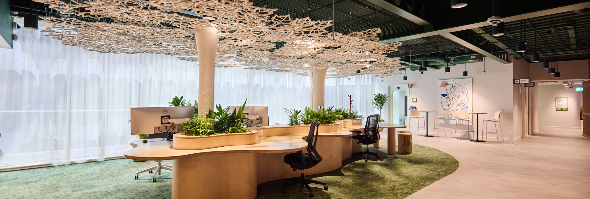 Open-plan workspace with curved wooden desks, integrated planting and a sculptural ceiling installation.